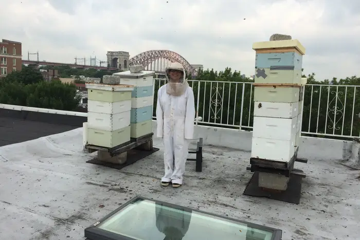 Study co-author Devora Najjar near local beekeeper Ralph Gaeta’s rooftop hives in Astoria, Queens